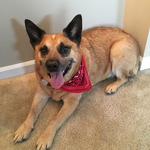 Meet your Posher, Kelsey